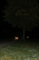 /album/vollmond-oktober-2013-verwackelt-und-leicht-stabil/kk-vollmond-oktober-2013-046-png/